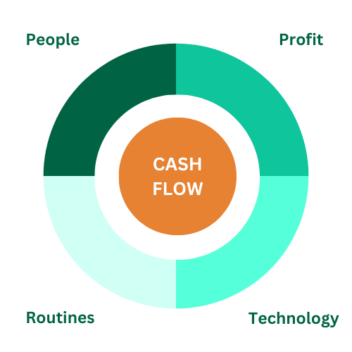 Cash Flow WHY